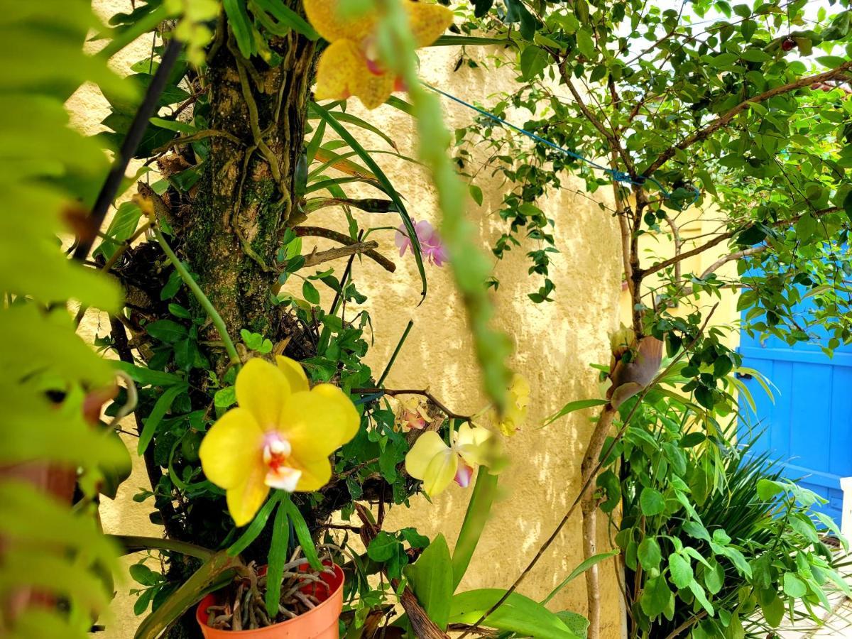 Pousada Recanto Dos Nativo Parati Exterior foto