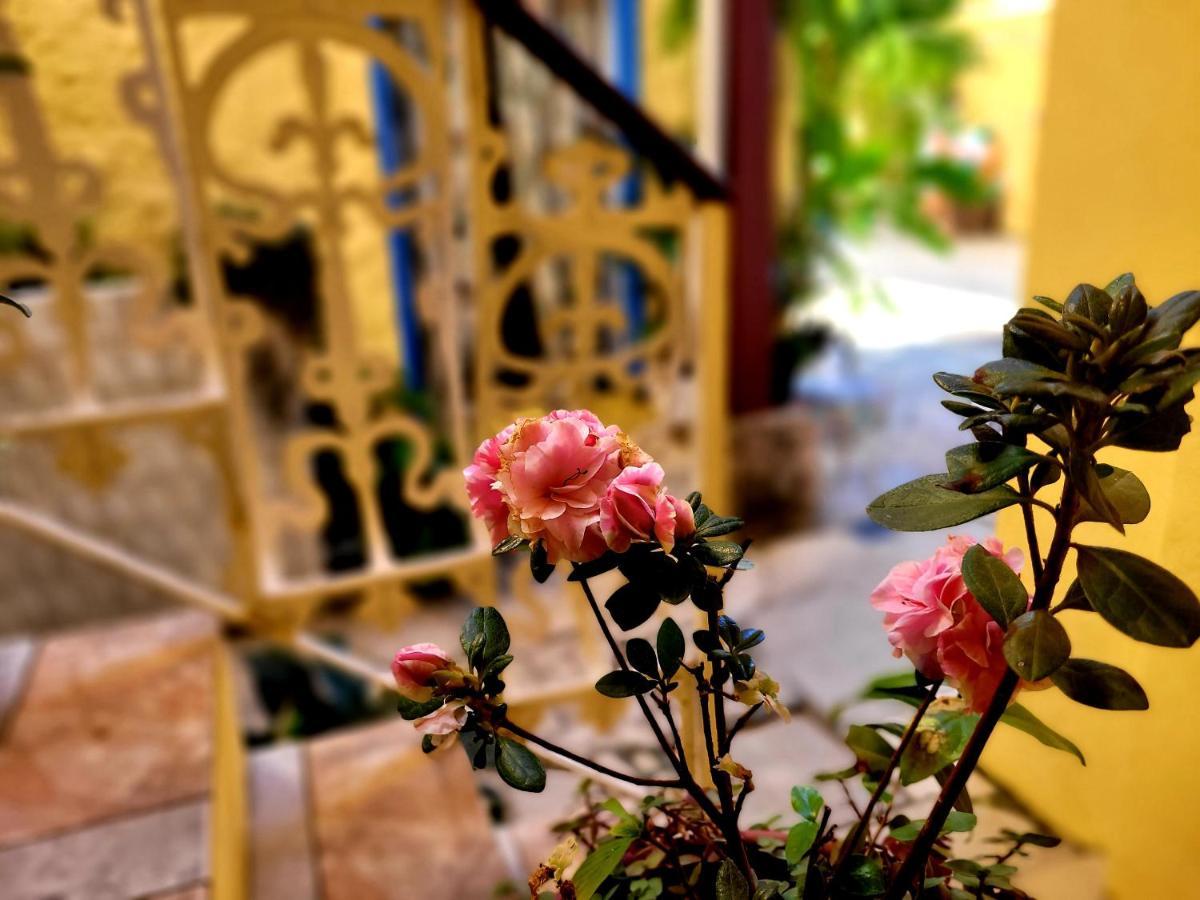 Pousada Recanto Dos Nativo Parati Exterior foto